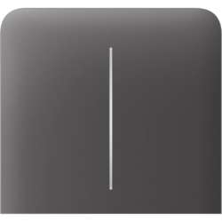 Кнопка Ajax SideButton (2-gang) vertical, бічна, двоклавішна, Сіра